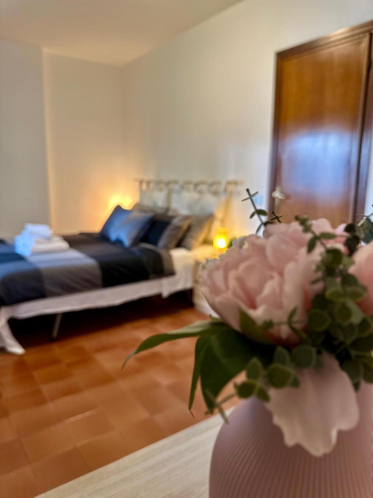 Appartamento La Casa Nostra ピサ エクステリア 写真